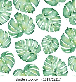 Monstera leaves watercolor hand drawn seamless pattern illustration. Trendy tropical plant drawing backdrop.Jungle forest, botanical exotic texture. Wallpaper, wrapping paper design