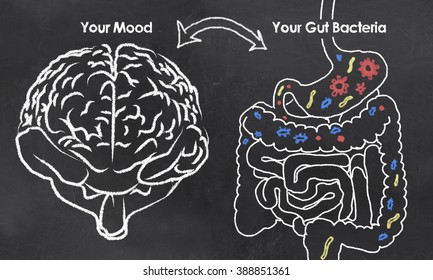 Mood and Gut Bacteria with chalk on Blackboard