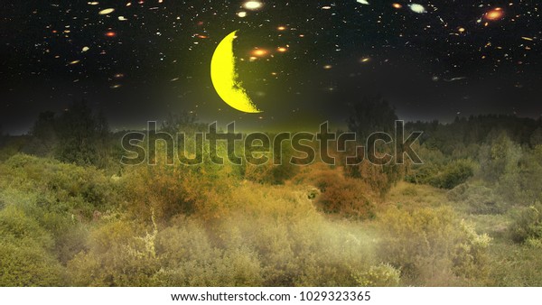 moon and mysterious nocturnal landscapes with space\
part. night open spaces of the East of Europe. Elements of this\
image furnished by\
NASA