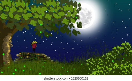 Moonlight Star Night Artwork Commercial Wallpaper Stock Illustration ...