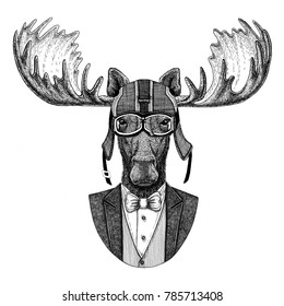 Moose Elk Animal Wearing Jacket Bowtie Stock Illustration 785713426 ...