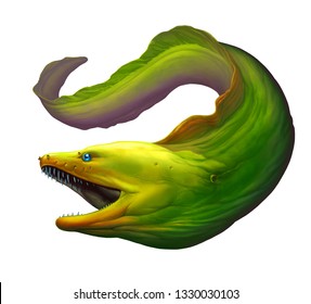 Moray eel Green. Large green moray eel with open mouth and thick row of sharp teeth of needles.