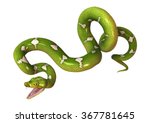 Morelia viridis, or green tree python, or herpetoculture hobby, chondro isolated on white background