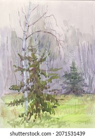 Morning Fog In Birch Forest, Watercolor Picture