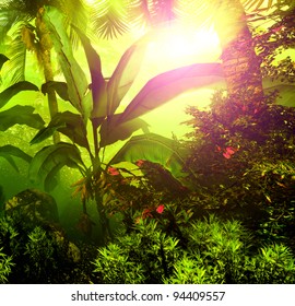 Morning Fog In Dense Tropical Rainforest