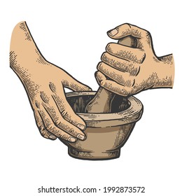 Mortar And Pestle In Hands Color Line Art Sketch Engraving Raster Illustration. T-shirt Apparel Print Design. Scratch Board Imitation. Black And White Hand Drawn Image.