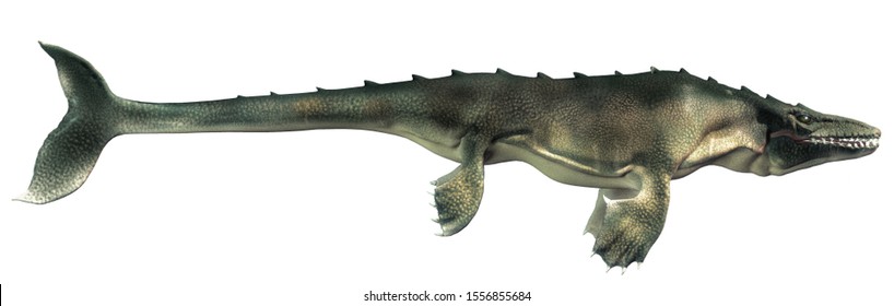 482 Mosasaurus Images, Stock Photos & Vectors | Shutterstock