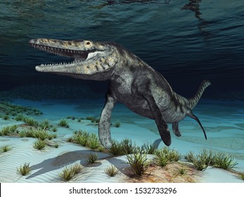 Mosasaur Tylosaurus
Computer generated 3D illustration