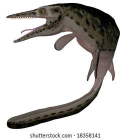 Mosasaur Images, Stock Photos & Vectors | Shutterstock