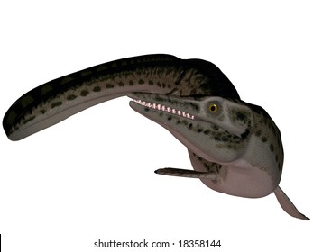 Mosasaur-3D Lepidosaurs