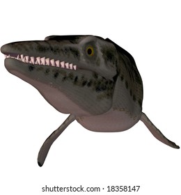 Mosasaur-3D Lepidosaurs