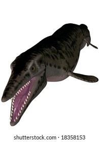 Mosasaur-3D Lepidosaurs