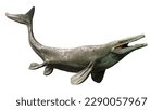 Mosasaurus, extinct marine reptile from the Late Cretaceous, isolated on white background, 3d paleoart illustration