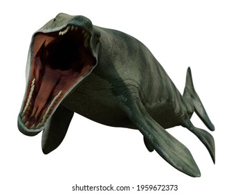 mosasaur