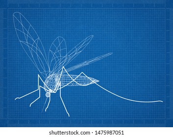  Mosquito Drawing   - 3D Rendering