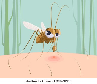 Mosquito Sucking Blood. Funny Pest Insect, Mosquito Bite Red Mark On Skin Cartoon  Illustration. Insect Mosquito, Blood Bite, Bloodsucker Cartoon