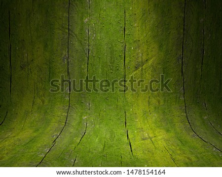 Similar – Moos auf einer Holztafel in der Umgebung eines Waldes