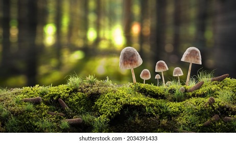Mossy surface in autumn forest with a small mushrooms, moss, spruce cones and sun ray. Image with a copy space. A background image. Realistic 3d illustration. 