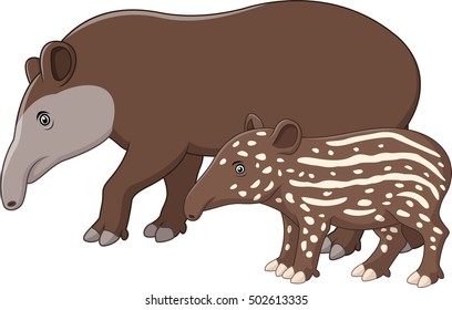 Mother And Baby Tapir
