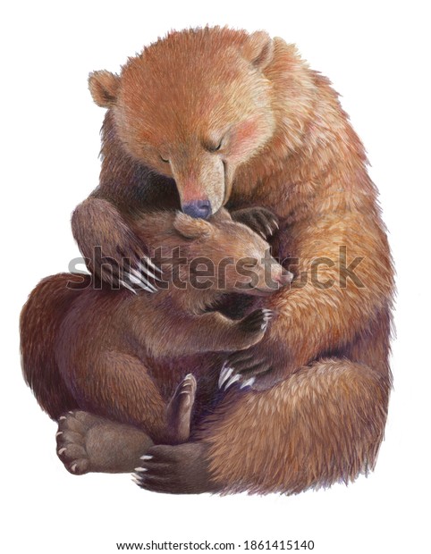 母は熊の子を抱く リアルな色の手描き イラトス 母性 母の日 のイラスト素材