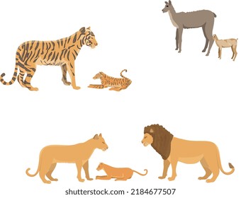 Mother Lion, Father Lion And Baby Lion, Mother Tiger And Cub, Llama And Cub