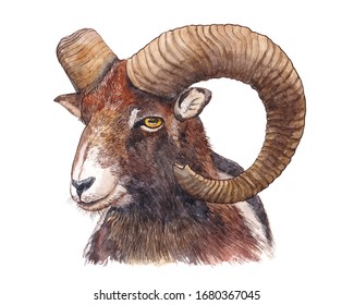 2,504 Watercolor goat Images, Stock Photos & Vectors | Shutterstock