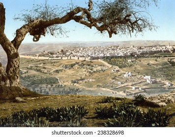 From Mount Scopus, Jerusalem, Holy Land, Photochrom, Ca 1890-1900.