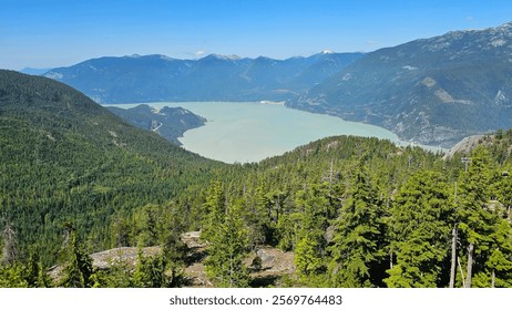 mountain and forest view with lake below