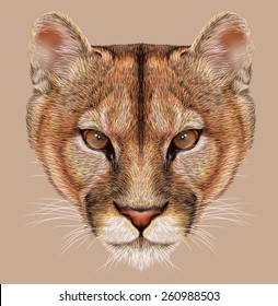 Mountain Lion Drawing Images Stock Photos Vectors Shutterstock