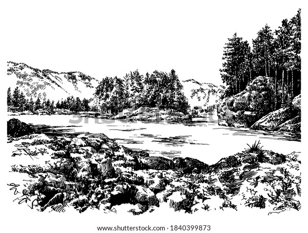 山の川と森 夏の日 白黒のペンとインクで描かれた手描き スケッチスタイル のイラスト素材