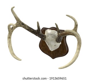 Mounted Antlers 3D Illustration On White Background