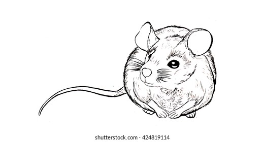 mouse 