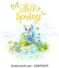 A mouse in a yellow Victorian dress holds a bouquet of garden flowers. Butterflies fly. Blue sky with clouds on the background. The symbol of the New Year 2020. Year of the rat. Lettering Hello Spring