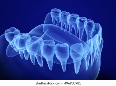 Mouth gum and teeth xray view. Medically accurate tooth 3D illustration  