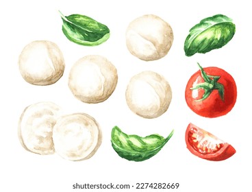 Mozzarella soft cheese with tomatoes and basil set.  Hand drawn watercolor illustration,  isolated on white background - Powered by Shutterstock