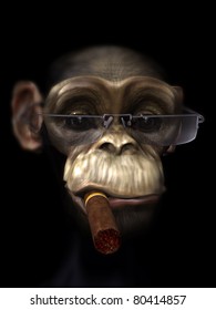 Mr Chimp The Pimp