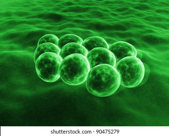 MRSA Bacteria