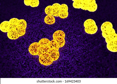 MRSA Bacteria Or Superbug Bacteria