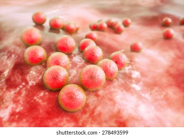 MRSA (Staphylococcus Aureus) Bacteria