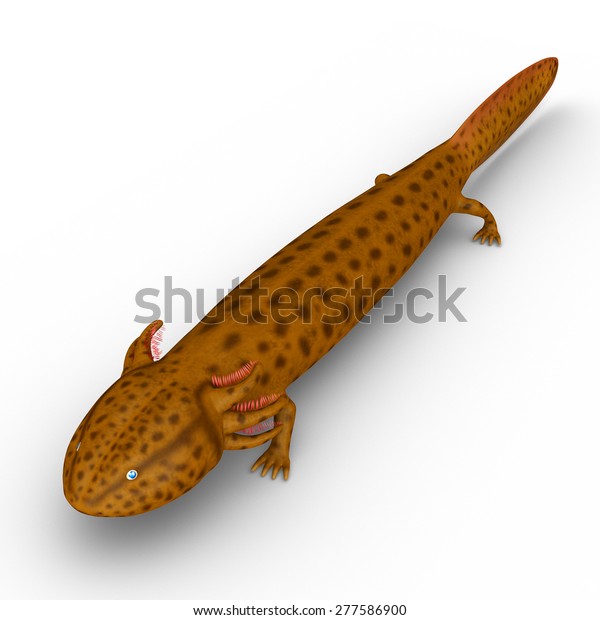 Mudpuppy Stock Illustration 277586900