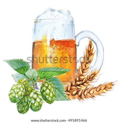 Mug with beer, hops and malt. Isolated on a white background. Watercolor illustration.