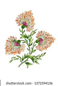 Mughal Flower Motif