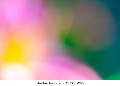 Multicolor Background Concept - Soft Focus Natural Color Gradient - Hyper Macro - Hyper Blur