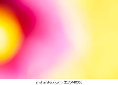 Multicolor Background Concept - Soft Focus Natural Color Gradient - Hyper Macro - Hyper Blur