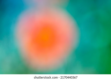 Multicolor Background Concept - Soft Focus Natural Color Gradient - Hyper Macro - Hyper Blur