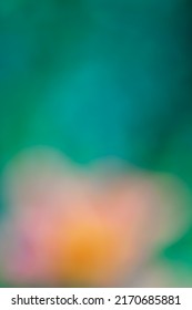 Multicolor Background Concept - Soft Focus Natural Color Gradient - Hyper Macro - Hyper Blur