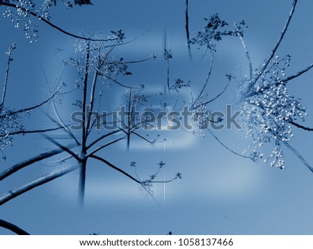 Similar – Frostige Dezembernacht. Der Mond scheint auf Obstbäume die im hohen Schnee stehen und im Eisnebel verschwinden.