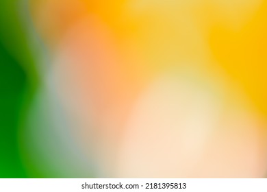 Multicolored Background Concept - Flower Natural Color Gradient By Soft Focus And Hyper Macro - Soft Focus