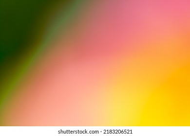 Multicolored Background Concept - Flower Natural Color Gradient By Soft Focus And Hyper Macro - Soft Focus