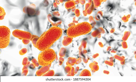 Multidrug resistant bacteria. Biofilm of bacteria Acinetobacter baumannii, the common causative agent of hospital-acquired infections 3D illustration
